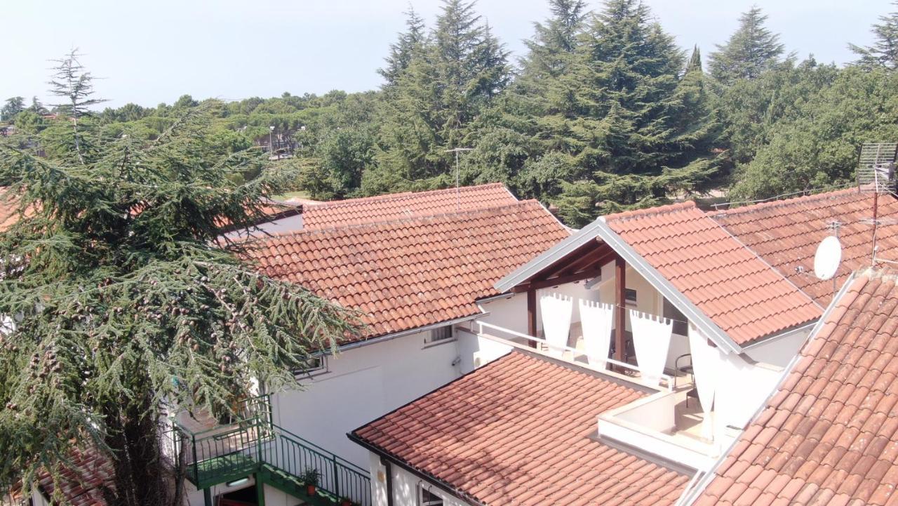 Apartment Katoro Umag Eksteriør billede